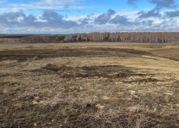 В Татарстане завершили рекультивацию карбонатного карьера