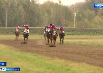 В Балтасинском районе прошли соревнования механизаторов и конные скачки