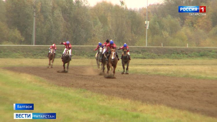 В Балтасинском районе прошли соревнования механизаторов и конные скачки