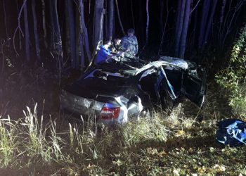 В смертельном ДТП с лосем под Нижнекамском пострадали еще два ребенка