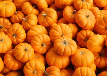 В Елабужском районе переименовали Тыквенный спас после критики