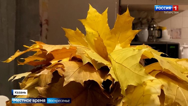 Аналитики фиксируют рост продаж препаратов от депрессии