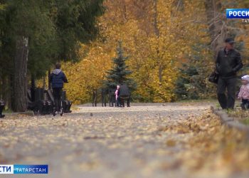В Казани в ходе урагана не пострадали экспонаты и посетители Нацмузея РТ