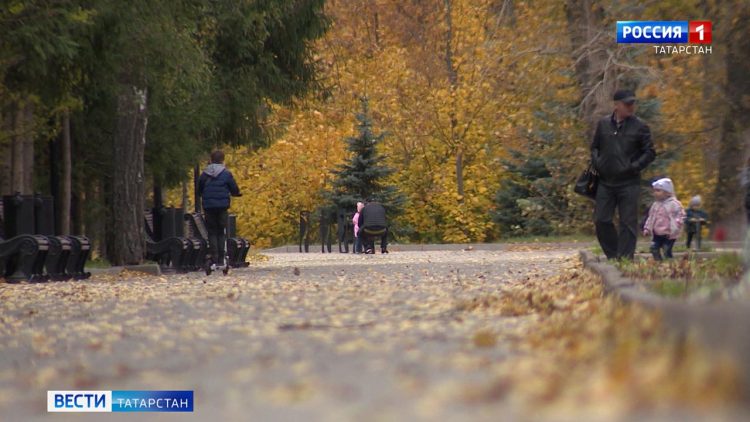 В Казани в ходе урагана не пострадали экспонаты и посетители Нацмузея РТ
