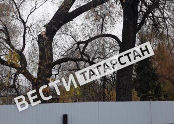 В селе Нурлаты после ураганного ветра сломалось дерево и повисло над газовыми трубами