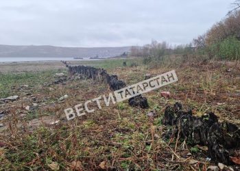 В Свияжске обнаружили останки древнего частокола