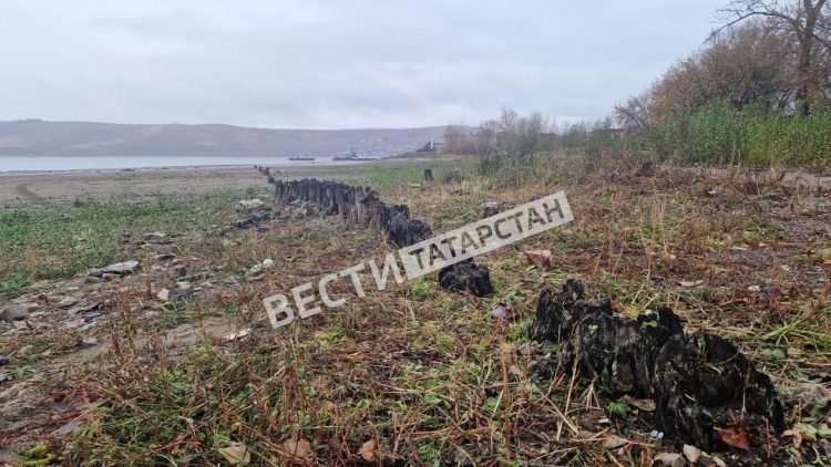 В Свияжске обнаружили останки древнего частокола