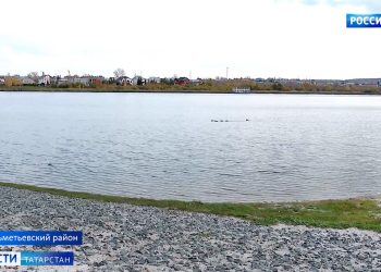 В акватории городского озера Альметьевска начали выращивать толстолобиков и белых амуров