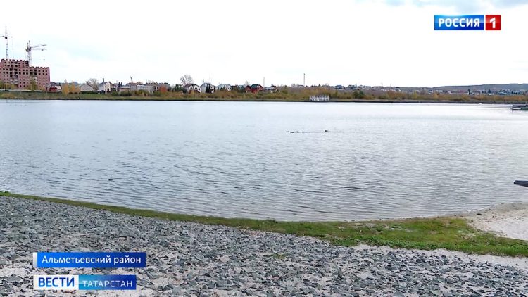 В акватории городского озера Альметьевска начали выращивать толстолобиков и белых амуров