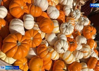 Сексолог о браке 53-летней Айсылу и 22-летнего Даниила: «Этот брак назвать нормальным – невозможно»