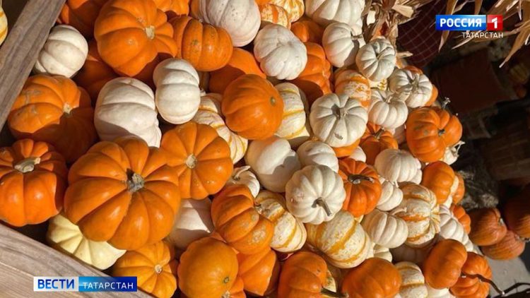 Сексолог о браке 53-летней Айсылу и 22-летнего Даниила: «Этот брак назвать нормальным – невозможно»