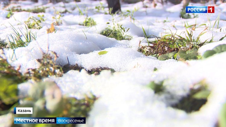 ГТРК «Татарстан» готовит продолжение проекта «Победа будет за нами»