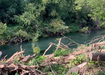 На Казанке в рамках нацпроекта разобрали завалы деревьев