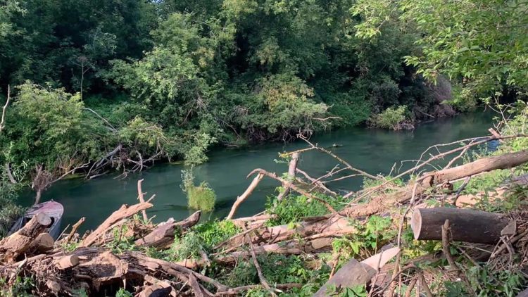На Казанке в рамках нацпроекта разобрали завалы деревьев