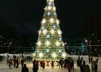 В Казани установят 14 новогодних елок в парках и скверах