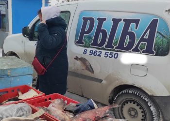 Сотрудники Госкомитета РТ по биоресурсам провели рейды по местам несанкционированной торговли рыбы