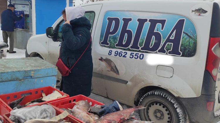 Сотрудники Госкомитета РТ по биоресурсам провели рейды по местам несанкционированной торговли рыбы