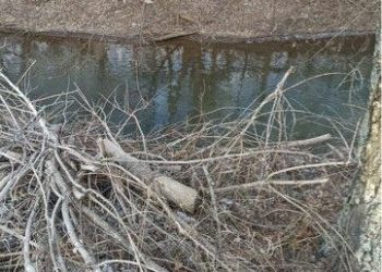 В Рыбно-Слободском районе нашли тело пенсионерки в реке