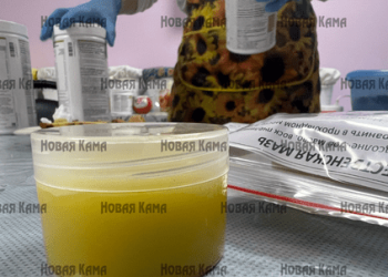 Волонтер из Елабуги изготавливает бад крем-карандаши и рождественскую мазь для бойцов СВО