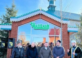 Новости (06.11.23)