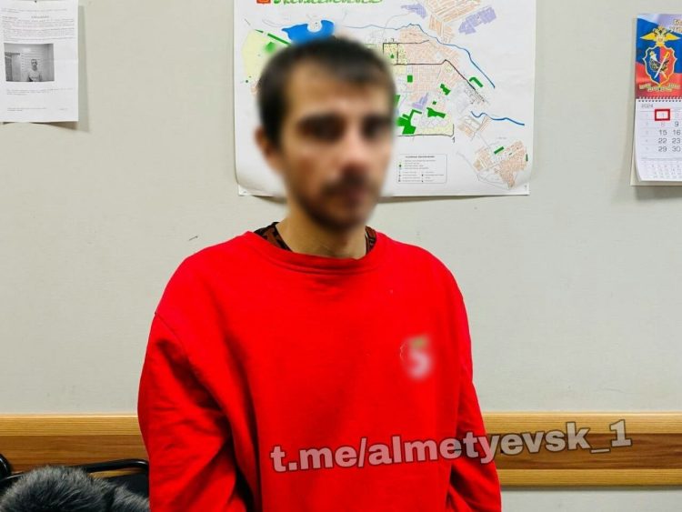 В Альметьевске задержали мужчину, который напал на женщину