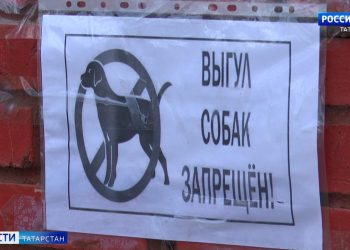 В поселке Красный Ключ на детской площадке бойцовская собака напала на ребенка