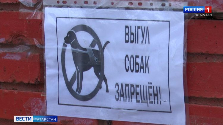 В поселке Красный Ключ на детской площадке бойцовская собака напала на ребенка