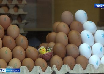 Минсельхозпрод РТ объяснил ценообразование на куриные яйца