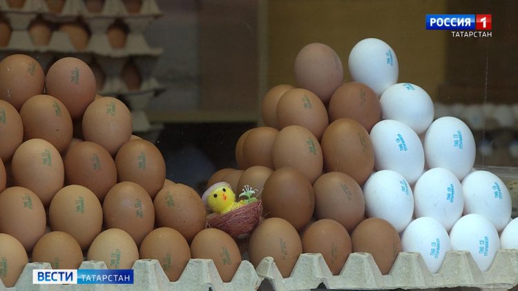 Минсельхозпрод РТ объяснил ценообразование на куриные яйца