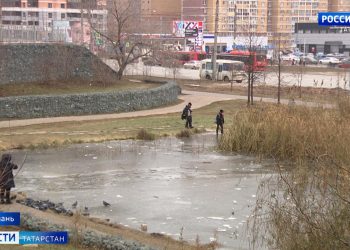 Стали известны подробности спасения детей, которые едва не утонули в пруду