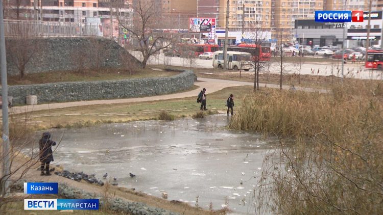 Стали известны подробности спасения детей, которые едва не утонули в пруду