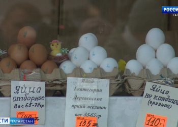 Специалист объяснил татарстанцам, почему подорожало мясо кур и яйца
