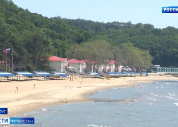 Стали известны основные коррупционные нарушения в сфере детского отдыха