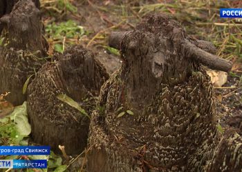 В Нижнекамске избрали меру пресечения бывшему священнику, убившему жену