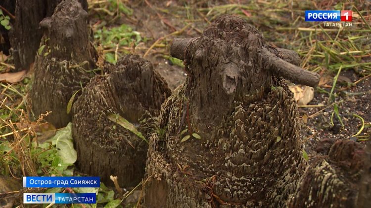 В Нижнекамске избрали меру пресечения бывшему священнику, убившему жену