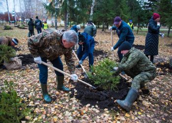 Мэр Челнов с командой посадил 350 елей в парке Победы