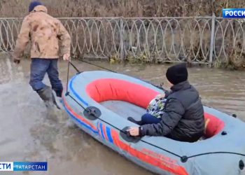 Минсельхозпрод РТ объяснил ценообразование на куриные яйца