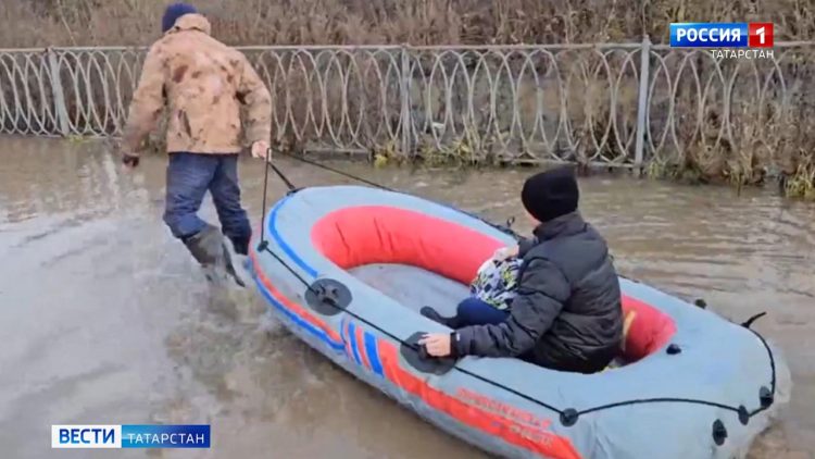 Минсельхозпрод РТ объяснил ценообразование на куриные яйца