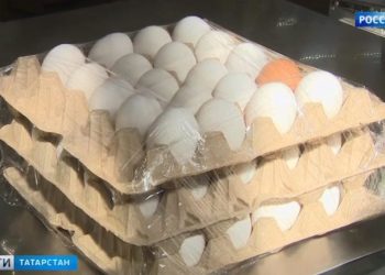 ФАС проанализирует ценообразование на куриные яйца