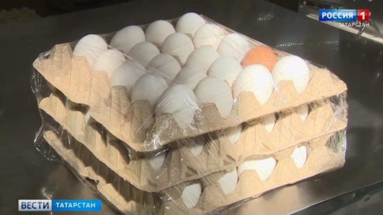 ФАС проанализирует ценообразование на куриные яйца