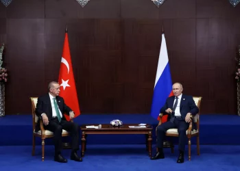 Путин встретится с Эрдоганом в начале 2024 года