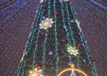 В Альметьевске открыли центральную елку