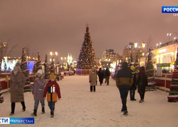 Татарстанцам рассказали, как встречать Новый 2024 год