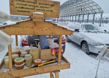 В Челнах на сельхозярмарки привезли более 230 тонн продукции