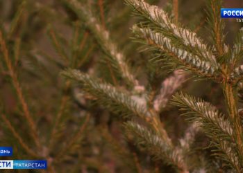 С начала этой зимы уже 19 детей попали в ДРКБ с травмами после катания на тюбингах