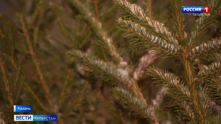С начала этой зимы уже 19 детей попали в ДРКБ с травмами после катания на тюбингах