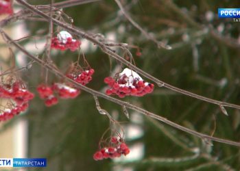 Эксперты рассказали, доберется ли циклон «Ваня» до Татарстана