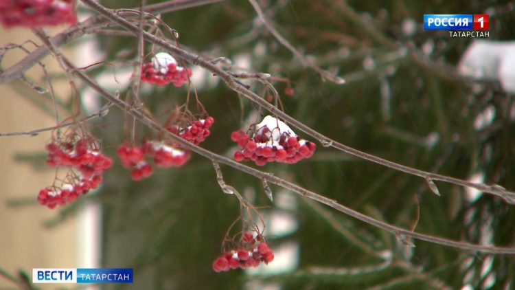 Эксперты рассказали, доберется ли циклон «Ваня» до Татарстана