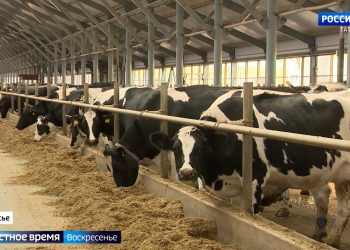 «Воинская дисциплина – это залог успеха»: один день с курсантами Казанского танкового училища