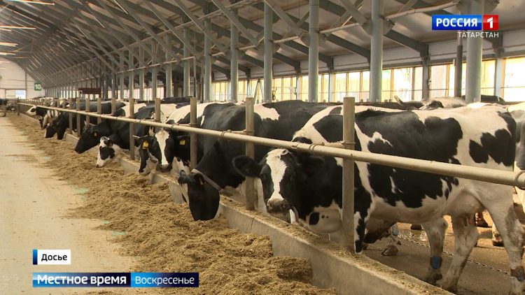 «Воинская дисциплина – это залог успеха»: один день с курсантами Казанского танкового училища